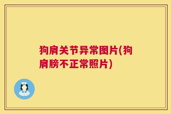 狗肩关节异常图片(狗肩膀不正常照片) 狗肩关节异常图片(狗肩膀不正常照片)