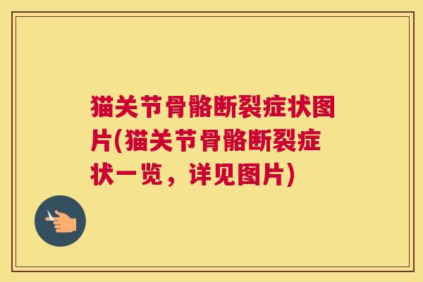 猫关节骨骼断裂症状图片(猫关节骨骼断裂症状一览，详见图片)