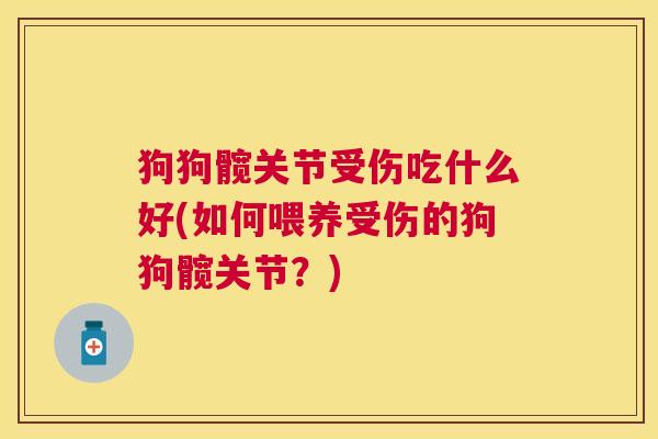 狗狗髋关节受伤吃什么好(如何喂养受伤的狗狗髋关节？)