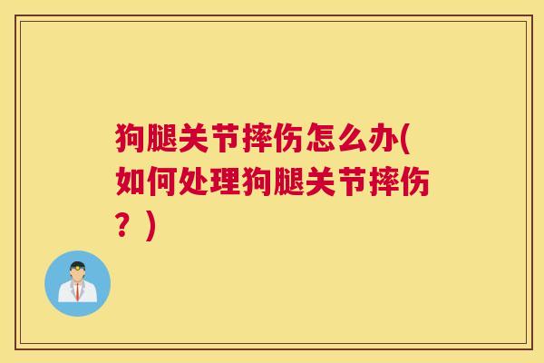 狗腿关节摔伤怎么办(如何处理狗腿关节摔伤？)