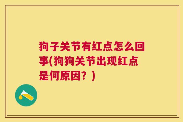 狗子关节有红点怎么回事(狗狗关节出现红点是何原因？)