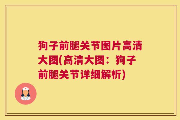 狗子前腿关节图片高清大图(高清大图：狗子前腿关节详细解析)