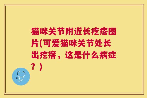 猫咪关节附近长疙瘩图片(可爱猫咪关节处长出疙瘩，这是什么病症？)