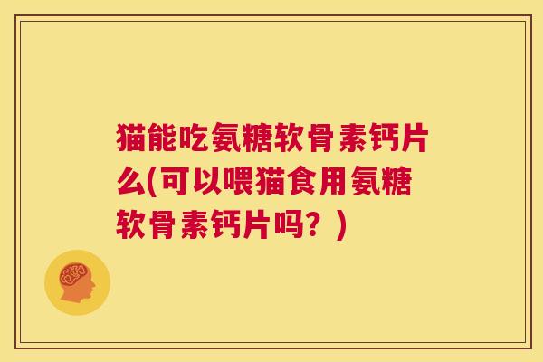 猫能吃氨糖软骨素钙片么(可以喂猫食用氨糖软骨素钙片吗？)