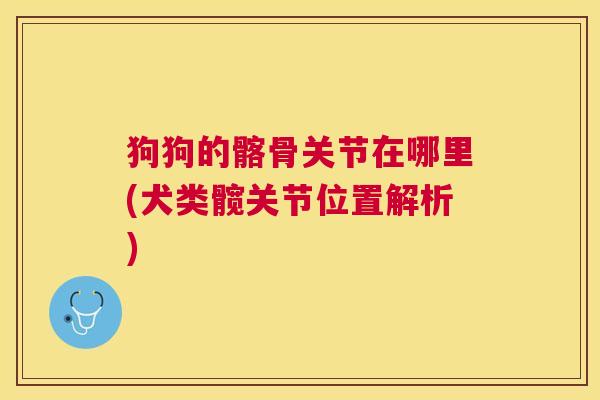 狗狗的髂骨关节在哪里(犬类髋关节位置解析)