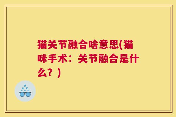 猫关节融合啥意思(猫咪手术：关节融合是什么？)