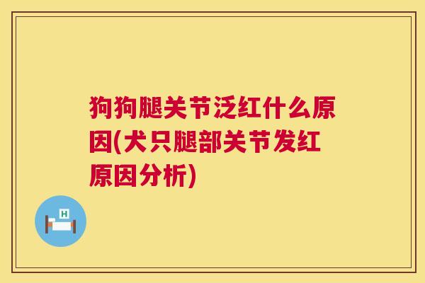 狗狗腿关节泛红什么原因(犬只腿部关节发红原因分析)