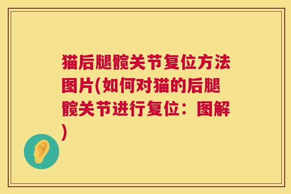 猫后腿髋关节复位方法图片(如何对猫的后腿髋关节进行复位：图解)
