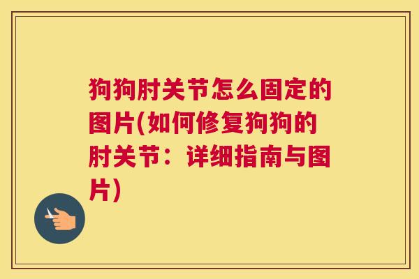 狗狗肘关节怎么固定的图片(如何修复狗狗的肘关节：详细指南与图片)