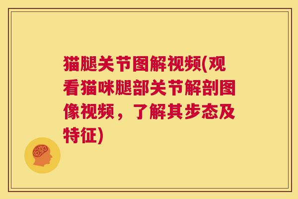 猫腿关节图解视频(观看猫咪腿部关节解剖图像视频，了解其步态及特征)