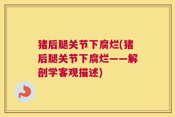 猪后腿关节下腐烂(猪后腿关节下腐烂——解剖学客观描述)
