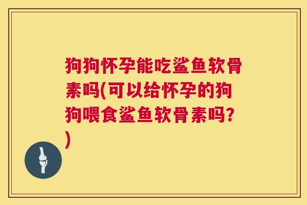 狗狗怀孕能吃鲨鱼软骨素吗(可以给怀孕的狗狗喂食鲨鱼软骨素吗？)