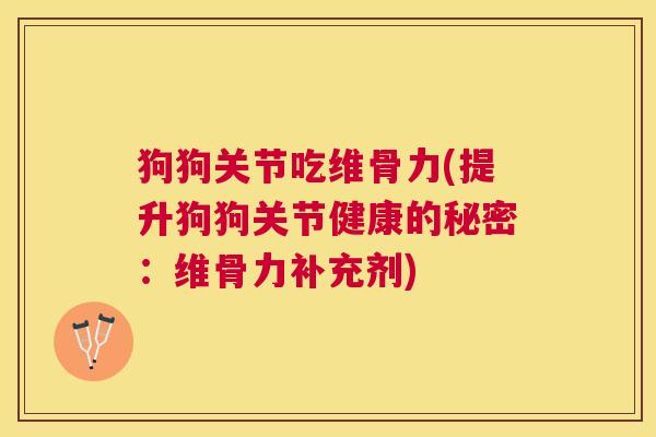 狗狗关节吃维骨力(提升狗狗关节健康的秘密：维骨力补充剂)