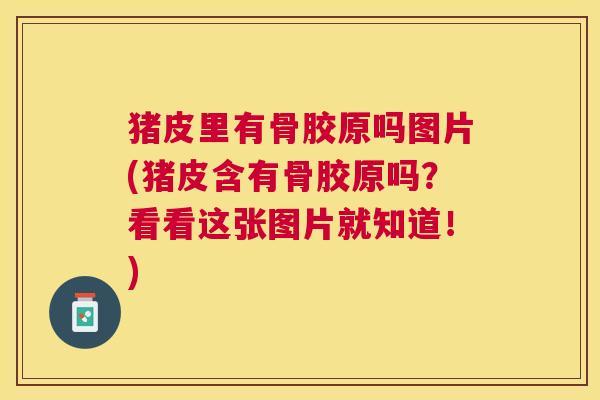 猪皮里有骨胶原吗图片(猪皮含有骨胶原吗？看看这张图片就知道！)