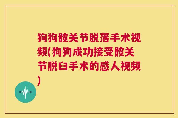 狗狗髋关节脱落手术视频(狗狗成功接受髋关节脱臼手术的感人视频)