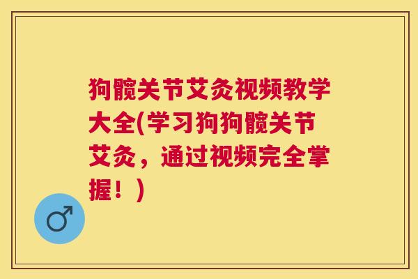 狗髋关节艾灸视频教学大全(学习狗狗髋关节艾灸，通过视频完全掌握！)