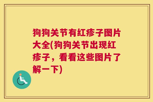狗狗关节有红疹子图片大全(狗狗关节出现红疹子，看看这些图片了解一下)