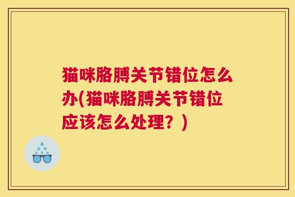猫咪胳膊关节错位怎么办(猫咪胳膊关节错位应该怎么处理？)
