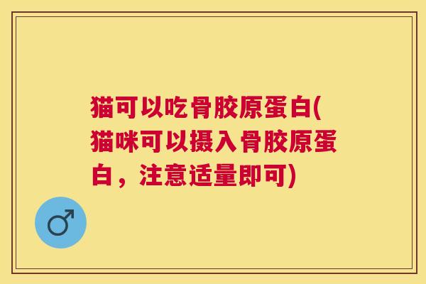 猫可以吃骨胶原蛋白(猫咪可以摄入骨胶原蛋白，注意适量即可)