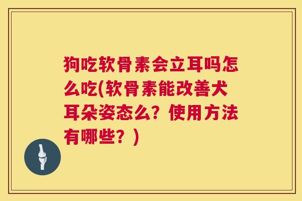 狗吃软骨素会立耳吗怎么吃(软骨素能改善犬耳朵姿态么？使用方法有哪些？)