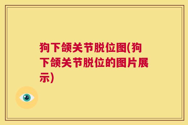 狗下颌关节脱位图(狗下颌关节脱位的图片展示)