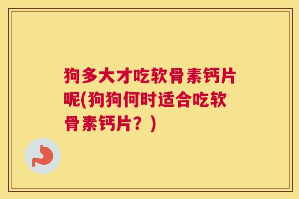 狗多大才吃软骨素钙片呢(狗狗何时适合吃软骨素钙片？)