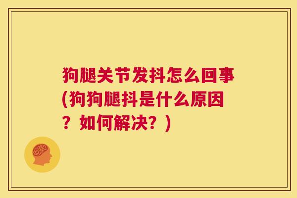 狗腿关节发抖怎么回事(狗狗腿抖是什么原因?如何解决?) 狗腿关节发抖怎么回事(狗狗腿抖是什么原因?如何解决?)