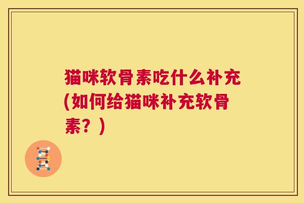 猫咪软骨素吃什么补充(如何给猫咪补充软骨素？)