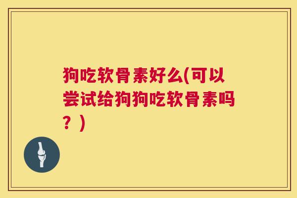 狗吃软骨素好么(可以尝试给狗狗吃软骨素吗？)