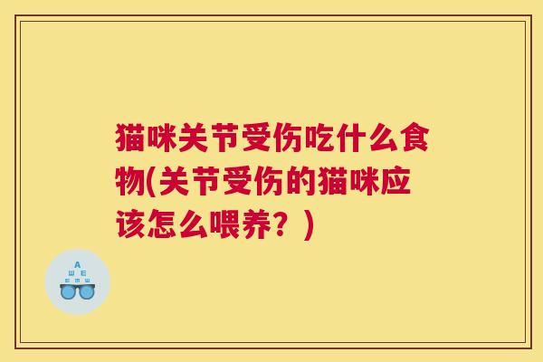 猫咪关节受伤吃什么食物(关节受伤的猫咪应该怎么喂养？)