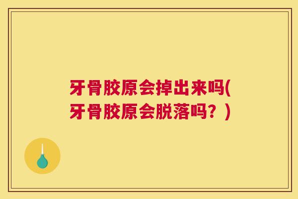 牙骨胶原会掉出来吗(牙骨胶原会脱落吗？)