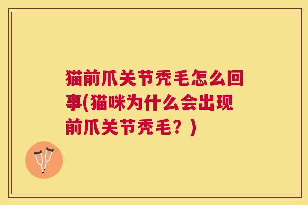 猫前爪关节秃毛怎么回事(猫咪为什么会出现前爪关节秃毛?) 猫前爪关节秃毛怎么回事(猫咪为什么会出现前爪关节秃毛?)
