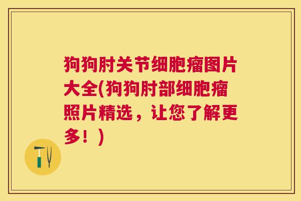 狗狗肘关节细胞瘤图片大全(狗狗肘部细胞瘤照片精选，让您了解更多！)