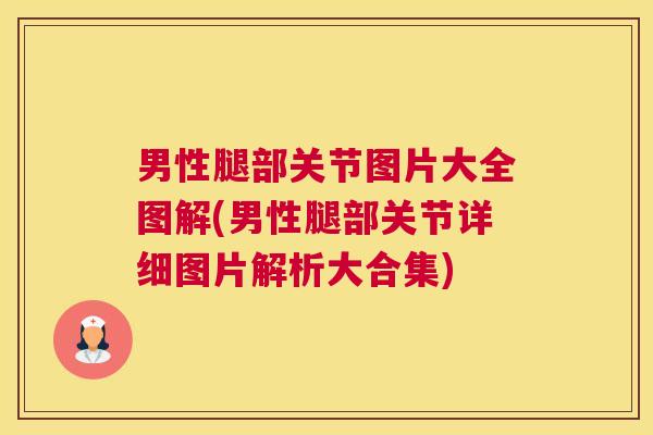 男性腿部关节图片大全图解(男性腿部关节详细图片解析大合集)