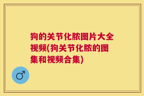 狗的关节化脓图片大全视频(狗关节化脓的图集和视频合集)