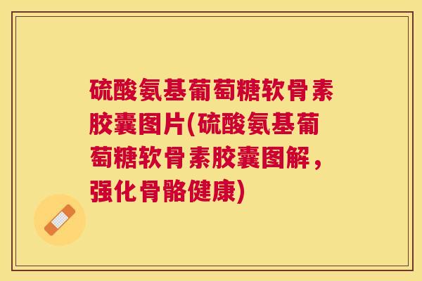 硫酸氨基葡萄糖软骨素胶囊图片(硫酸氨基葡萄糖软骨素胶囊图解，强化骨骼健康)