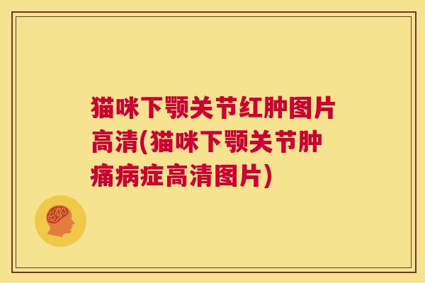 猫咪下颚关节红肿图片高清(猫咪下颚关节肿痛症高清图片) 猫咪下颚关节红肿图片高清(猫咪下颚关节肿痛症高清图片)