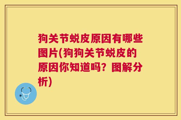 狗关节蜕皮原因有哪些图片(狗狗关节蜕皮的原因你知道吗？图解分析)