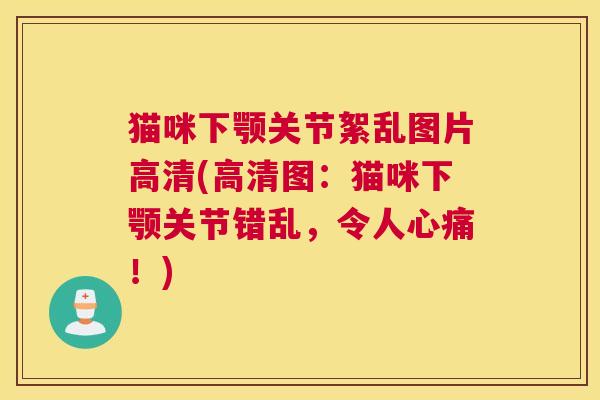 猫咪下颚关节絮乱图片高清(高清图：猫咪下颚关节错乱，令人心痛！)