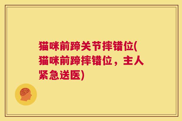 猫咪前蹄关节摔错位(猫咪前蹄摔错位，主人紧急送医)