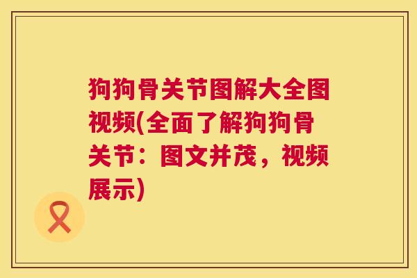 狗狗骨关节图解大全图视频(全面了解狗狗骨关节：图文并茂，视频展示)