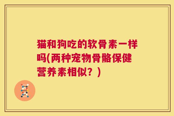猫和狗吃的软骨素一样吗(两种宠物骨骼保健营养素相似？)