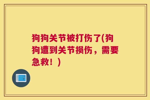 狗狗关节被打伤了(狗狗遭到关节损伤，需要急救！)