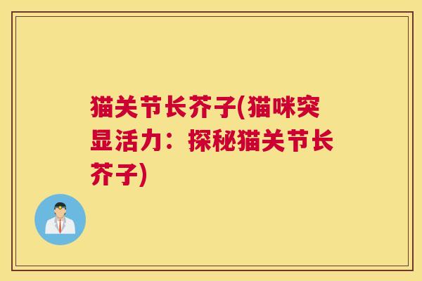 猫关节长芥子(猫咪突显活力：探秘猫关节长芥子)