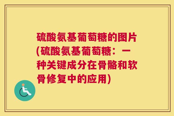 硫酸氨基葡萄糖的图片(硫酸氨基葡萄糖:一种关键成分在骨骼和软骨修复中的应用) 硫酸氨基葡萄糖的图片(硫酸氨基葡萄糖:一种关键成分在骨骼和软骨修复中的应用)