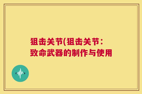 狙击关节(狙击关节：致命武器的制作与使用