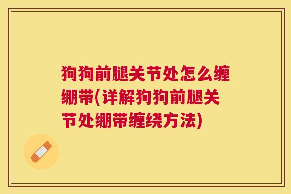 狗狗前腿关节处怎么缠绷带(详解狗狗前腿关节处绷带缠绕方法)
