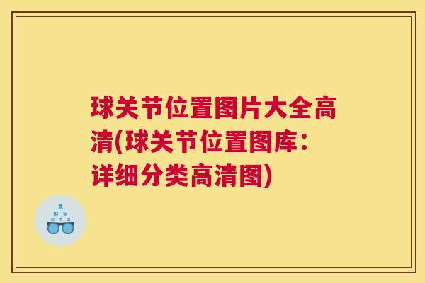 球关节位置图片大全高清(球关节位置图库：详细分类高清图)