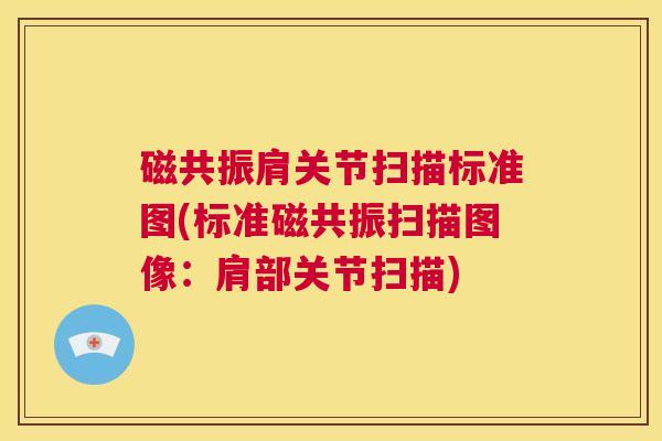 磁共振肩关节扫描标准图(标准磁共振扫描图像：肩部关节扫描)