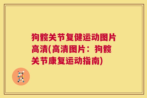 狗髋关节复健运动图片高清(高清图片：狗髋关节康复运动指南)